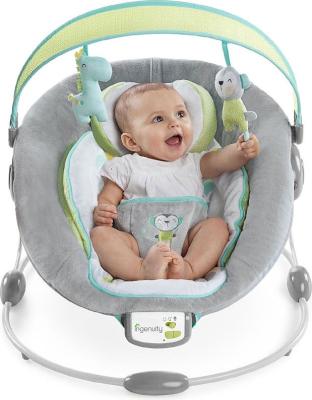 Ingenuity Soothe 'n Delight Savvy Safari Bouncer Picture 2