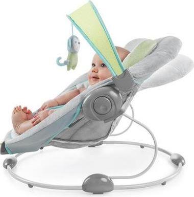 Ingenuity Soothe 'n Delight Savvy Safari Bouncer Picture 3