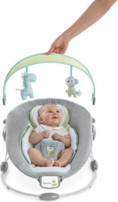 Ingenuity Soothe 'n Delight Savvy Safari Bouncer Picture 4