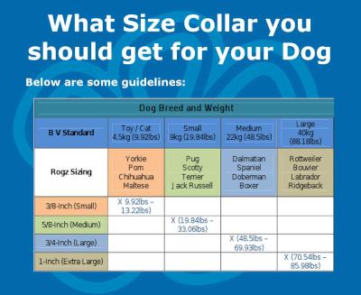 Rogz Utility Snake Obedience Half-Check Dog Collar - Medium 16mm (Turquoise Reflective) Picture 3