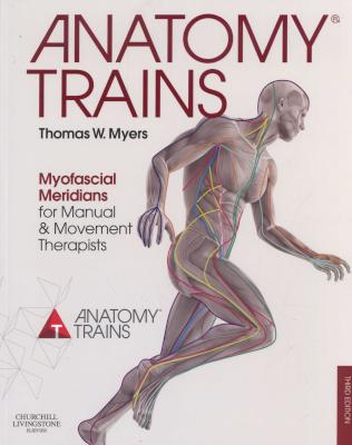 Anatomy Trains - Myofascial Meridians for Manual and Movement Therapists (Paperback, 3rd Revised edi Picture 1