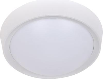 Radiant Rad Ceiling Light - Single Globe Fitting (Satin Silver) Picture 1